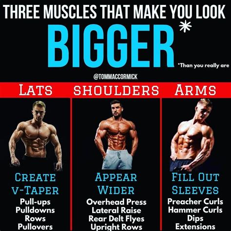 muscle video gay|You’ve Come To The Right Doctor .